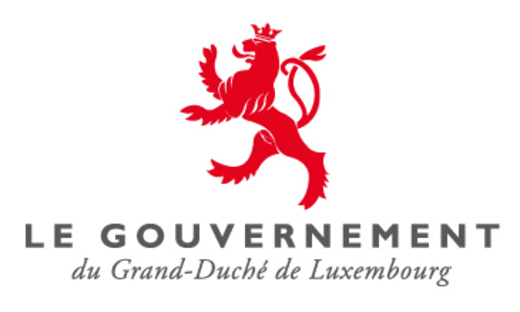Assistance maîtrise d'ouvrage ascenseur - Luxembourg Gouvernment